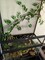 Artificial Hanging Willow Leaf Garland Willow Leaves Vines Twigs String Fake Hanging Willow Greenery Garland for Wedding Arch Decor, Table, Party, Home Wall Decor Wreath Decor